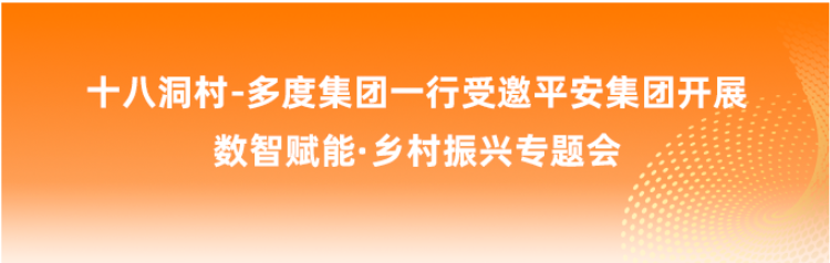 十八洞村-多度集团一行受邀平安集团开展数智赋能·乡村振兴专题会
