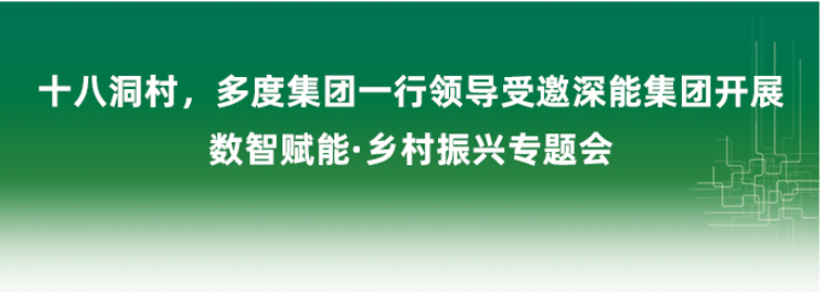 十八洞村，多度集团一行领导受邀深能集团开展数智赋能·乡村振兴专题会